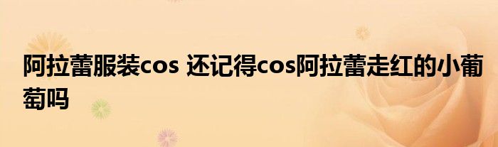 阿拉蕾服装cos 还记得cos阿拉蕾走红的小葡萄吗