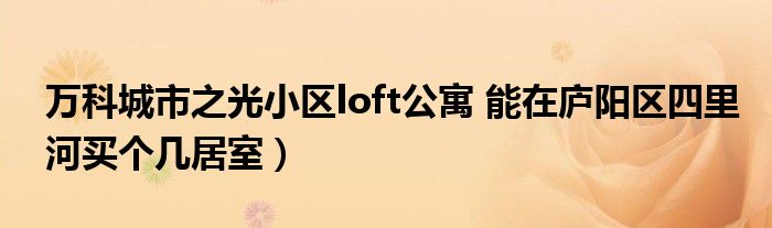 万科城市之光小区loft公寓 能在庐阳区四里河买个几居室)