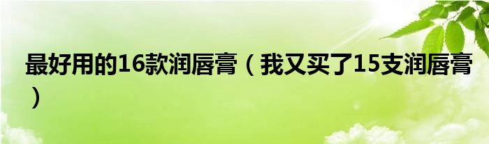 最好用的16款润唇膏(我又买了15支润唇膏)