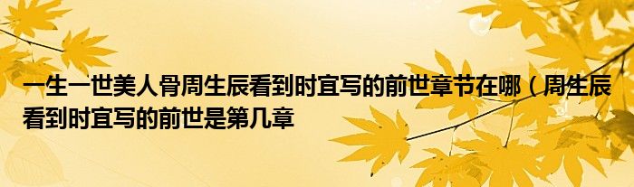 一生一世美人骨周生辰看到时宜写的前世章节在哪(周生辰看到时宜写的前世是第几章