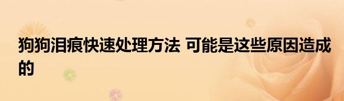 狗狗泪痕快速处理方法 可能是这些原因造成的