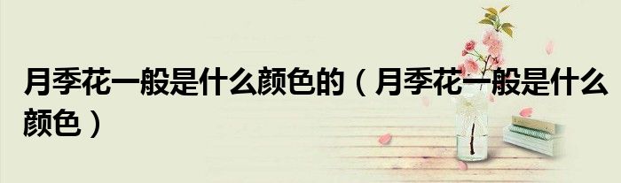 月季花一般是什么颜色的(月季花一般是什么颜色)