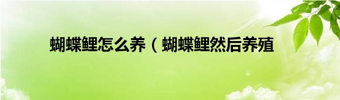 蝴蝶鲤怎么养(蝴蝶鲤然后养殖