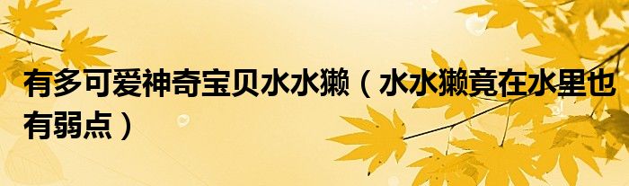 有多可爱神奇宝贝水水獭(水水獭竟在水里也有弱点)