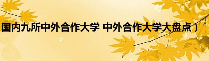 国内九所中外合作大学 中外合作大学大盘点)