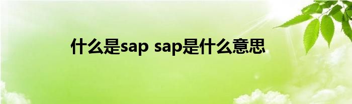 什么是sap sap是什么意思