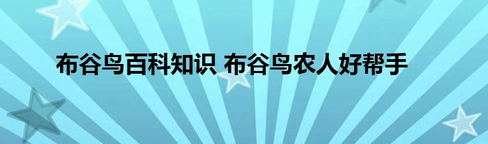 布谷鸟百科知识 布谷鸟农人好帮手