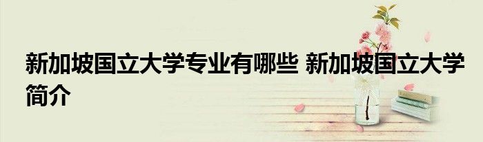新加坡国立大学专业有哪些 新加坡国立大学简介