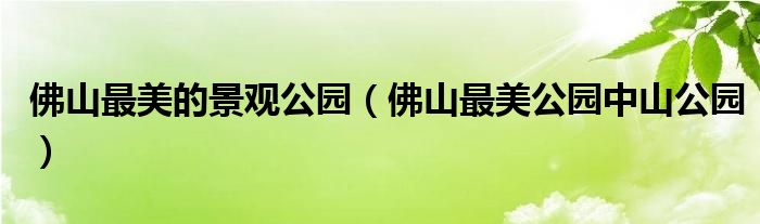 佛山最美的景观公园(佛山最美公园中山公园)