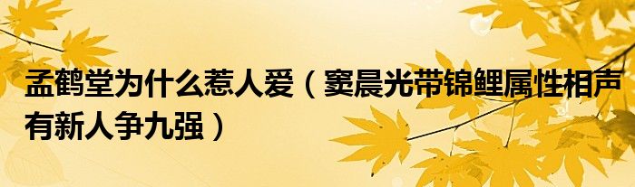 孟鹤堂为什么惹人爱(窦晨光带锦鲤属性相声有新人争九强)
