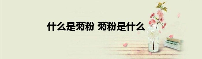 什么是菊粉 菊粉是什么