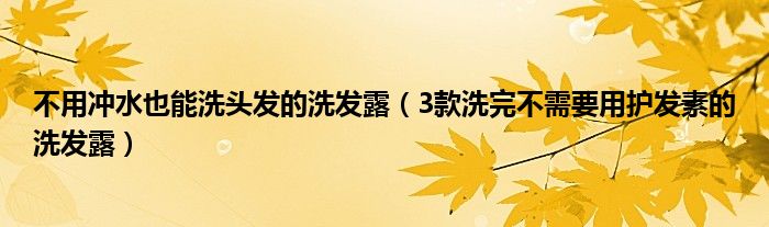 不用冲水也能洗头发的洗发露(3款洗完不需要用护发素的洗发露)