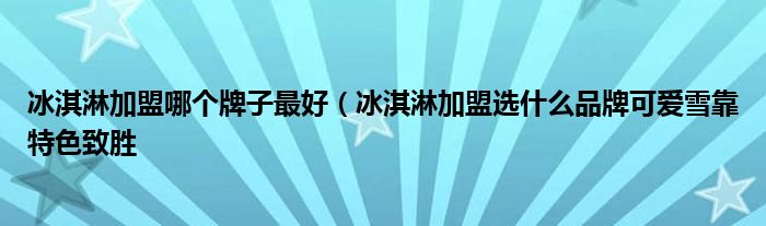 冰淇淋加盟哪个牌子最好（冰淇淋加盟选什么品牌可爱雪靠特色致胜