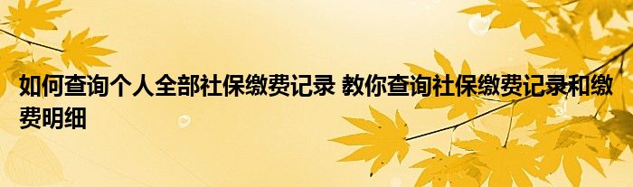如何查询个人全部社保缴费记录 教你查询社保缴费记录和缴费明细