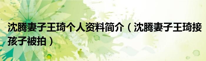 沈腾妻子王琦个人资料简介(沈腾妻子王琦接孩子被拍)