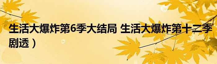 生活大爆炸第6季大结局 生活大爆炸第十二季剧透)