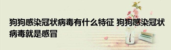 狗狗感染冠状病毒有什么特征 狗狗感染冠状病毒就是感冒