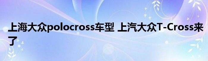 上海大众polocross车型 上汽大众T-Cross来了