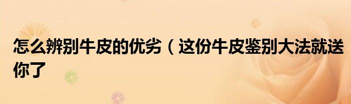 怎么辨别牛皮的优劣(这份牛皮鉴别大法就送你了