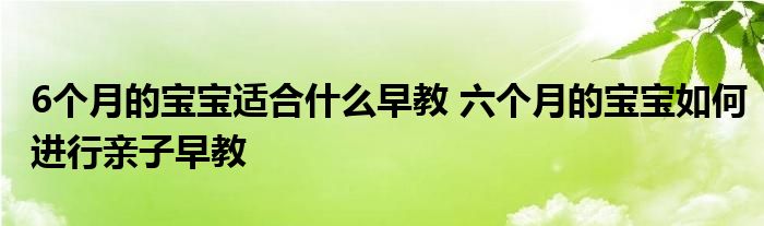 6个月的宝宝适合什么早教 六个月的宝宝如何进行亲子早教