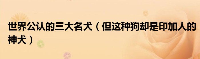 世界公认的三大名犬(但这种狗却是印加人的神犬)