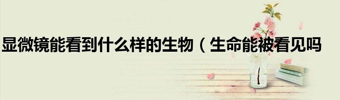显微镜能看到什么样的生物(生命能被看见吗