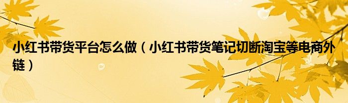 小红书带货平台怎么做(小红书带货笔记切断淘宝等电商外链)
