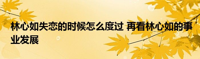 林心如失恋的时候怎么度过 再看林心如的事业发展