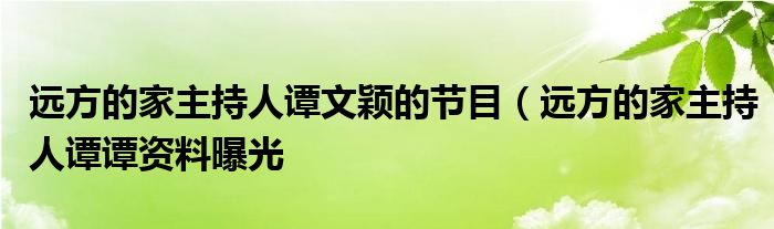 远方的家主持人谭文颖的节目(远方的家主持人谭谭资料曝光