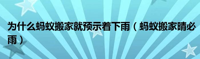 为什么蚂蚁搬家就预示着下雨(蚂蚁搬家晴必雨)