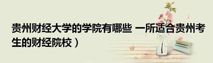贵州财经大学的学院有哪些 一所适合贵州考生的财经院校)