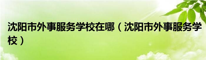 沈阳市外事服务学校在哪(沈阳市外事服务学校)