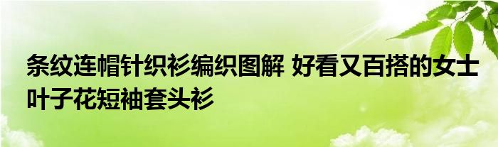 条纹连帽针织衫编织图解 好看又百搭的女士叶子花短袖套头衫