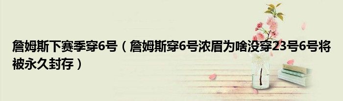 詹姆斯下赛季穿6号(詹姆斯穿6号浓眉为啥没穿23号6号将被永久封存)