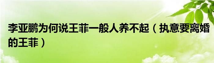 李亚鹏为何说王菲一般人养不起(执意要离婚的王菲)