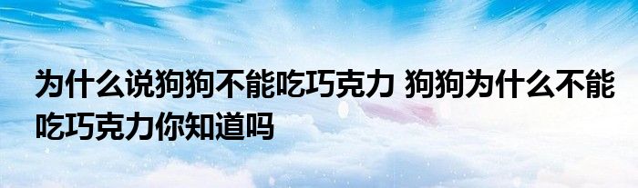 为什么说狗狗不能吃巧克力 狗狗为什么不能吃巧克力你知道吗