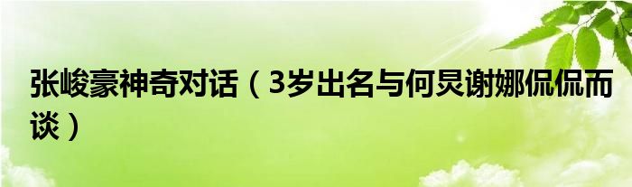 张峻豪神奇对话(3岁出名与何炅谢娜侃侃而谈)