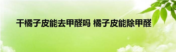 干橘子皮能去甲醛吗 橘子皮能除甲醛