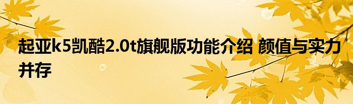 起亚k5凯酷2.0t旗舰版功能介绍 颜值与实力并存