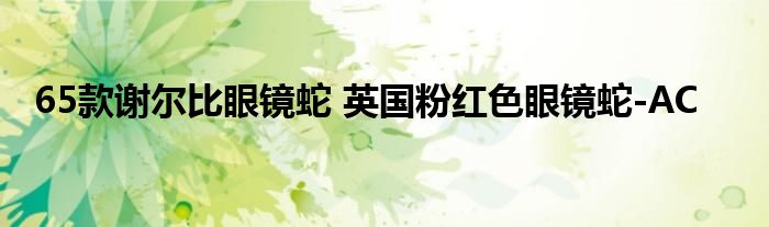 65款谢尔比眼镜蛇 英国粉红色眼镜蛇-AC