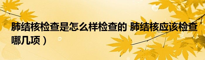 肺结核检查是怎么样检查的 肺结核应该检查哪几项)