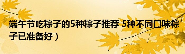 端午节吃粽子的5种粽子推荐 5种不同口味粽子已准备好)