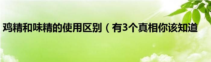 鸡精和味精的使用区别(有3个真相你该知道