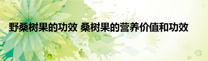 野桑树果的功效 桑树果的营养价值和功效