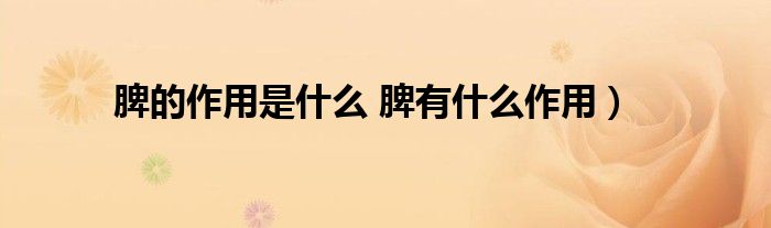 脾的作用是什么 脾有什么作用)