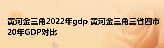 黄河金三角2022年gdp 黄河金三角三省四市20年GDP对比