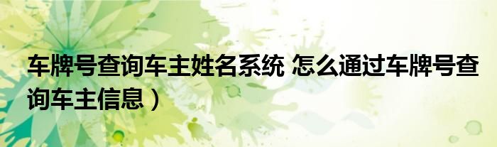 车牌号查询车主姓名系统 怎么通过车牌号查询车主信息)