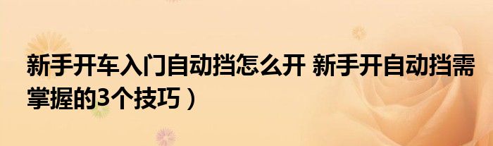 新手开车入门自动挡怎么开 新手开自动挡需掌握的3个技巧)