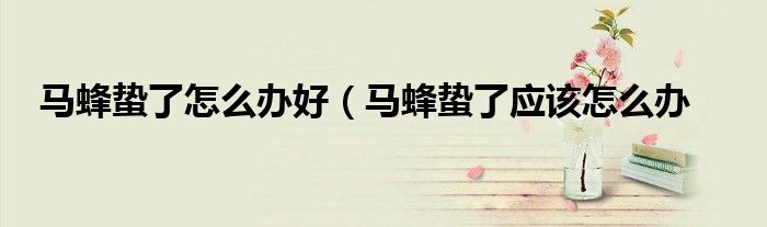 马蜂蛰了怎么办好(马蜂蛰了应该怎么办