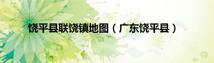 饶平县联饶镇地图(广东饶平县)